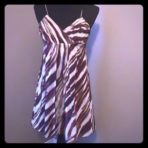 Ann Taylor silk dress petite